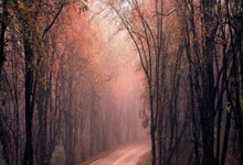 丹-伯恩谈入选英格兰队趣事：图赫尔说我10点不睡觉太不职业.