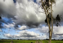 [德甲]强强对话 “药厂”客场擒“鹰”.