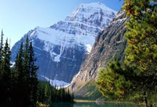 中国女排名将朱婷：在祖国比赛的感觉与众不同中国新闻网.