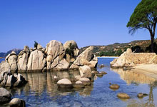 哈特三双尼克斯魔术携手晋级 猛龙力克步行者.